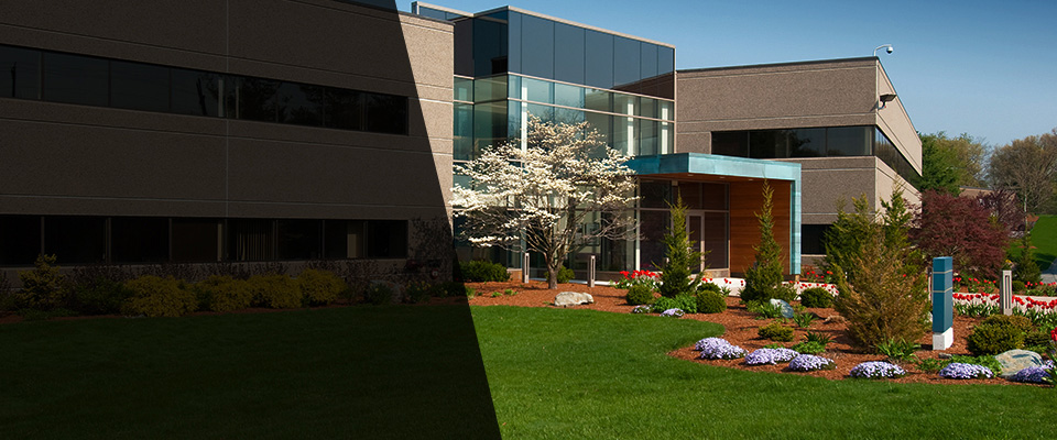 San Bruno Landscapers