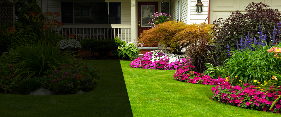 San Bruno Landscapers