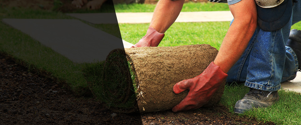 San Bruno Landscapers